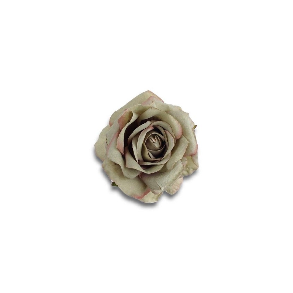 ROSA GREEN STELO CM10XD13